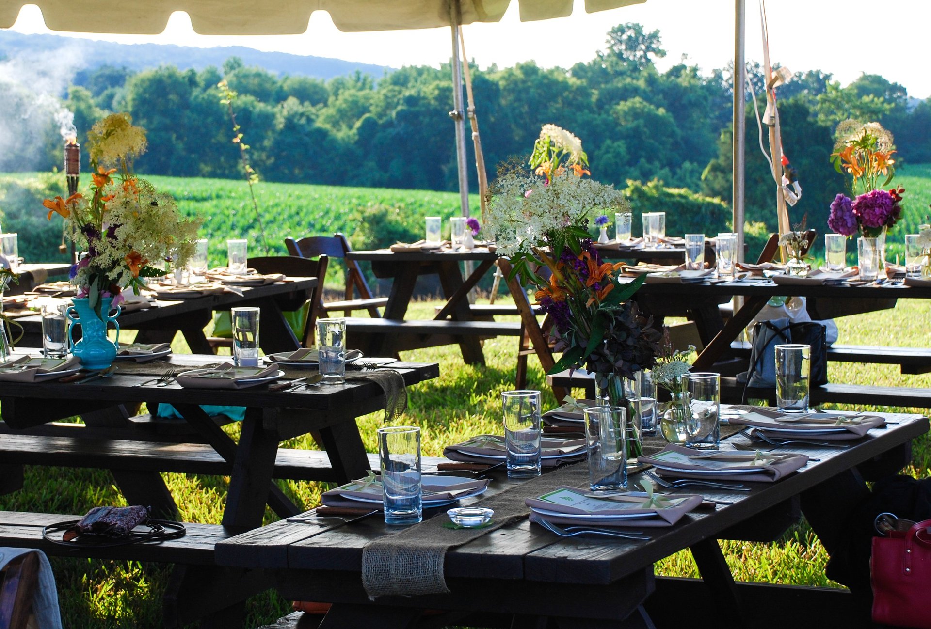 Tables set for an outdoor farm dinner
