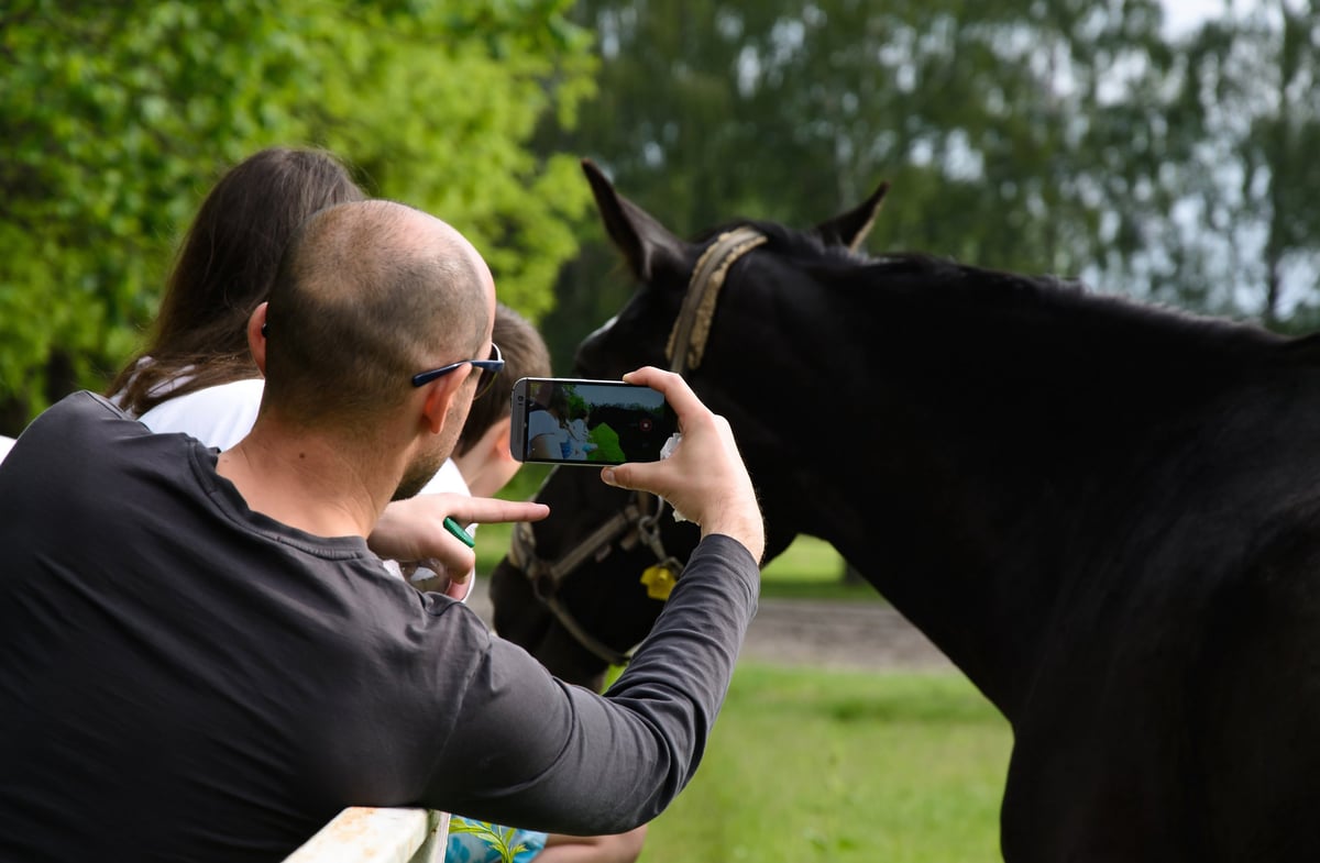 Man photographing a black horse with phone camera